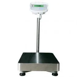 Adam Equipment GFK Check Weighing Floor Scale - GFK165aH