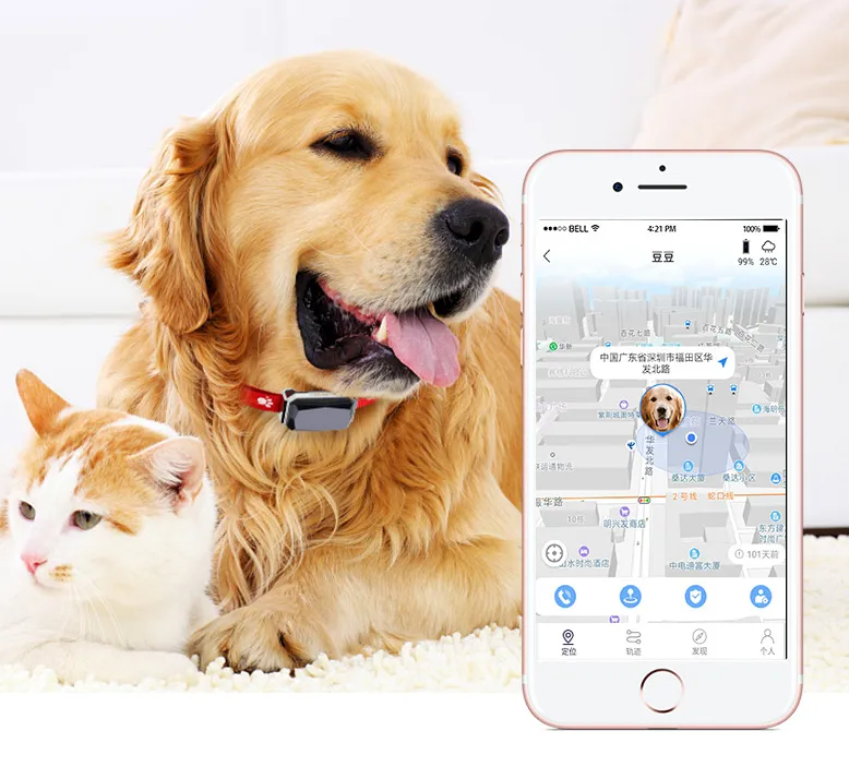 Beidou GPS pet positioning collar