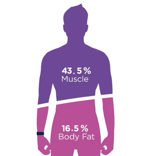 Book Your Body Composition Initial Assessment!