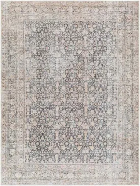 Candida Traditional Black/Medium Brown Washable Area Rug