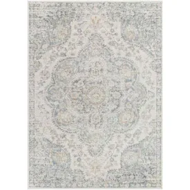 Lola Traditional Light Gray Area Rug