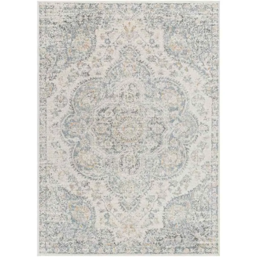 Lola Traditional Light Gray Area Rug