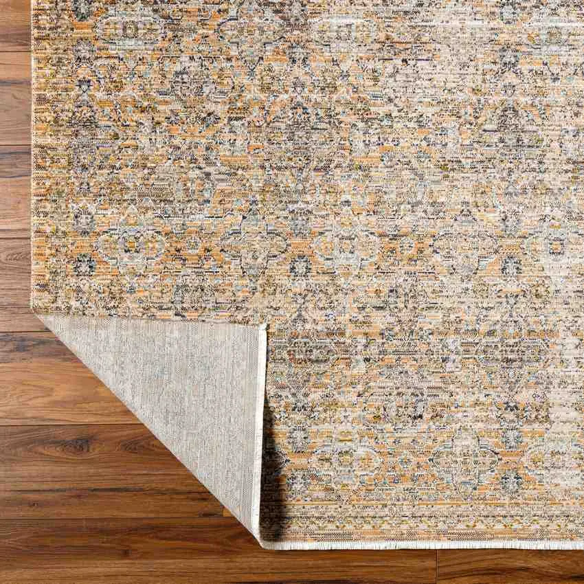 Radha Traditional Brown Washable Area Rug