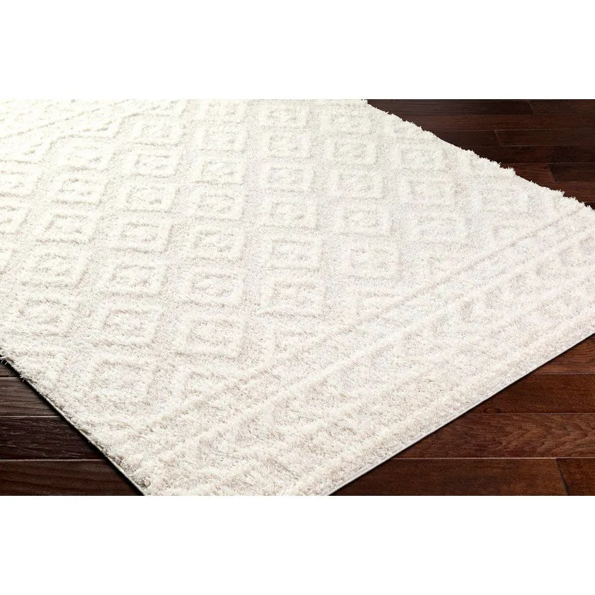 Shatora Modern Light Beige Area Rug