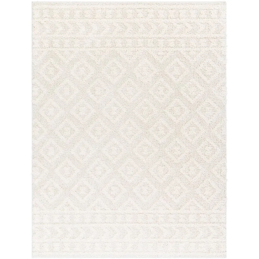 Shatora Modern Light Beige Area Rug