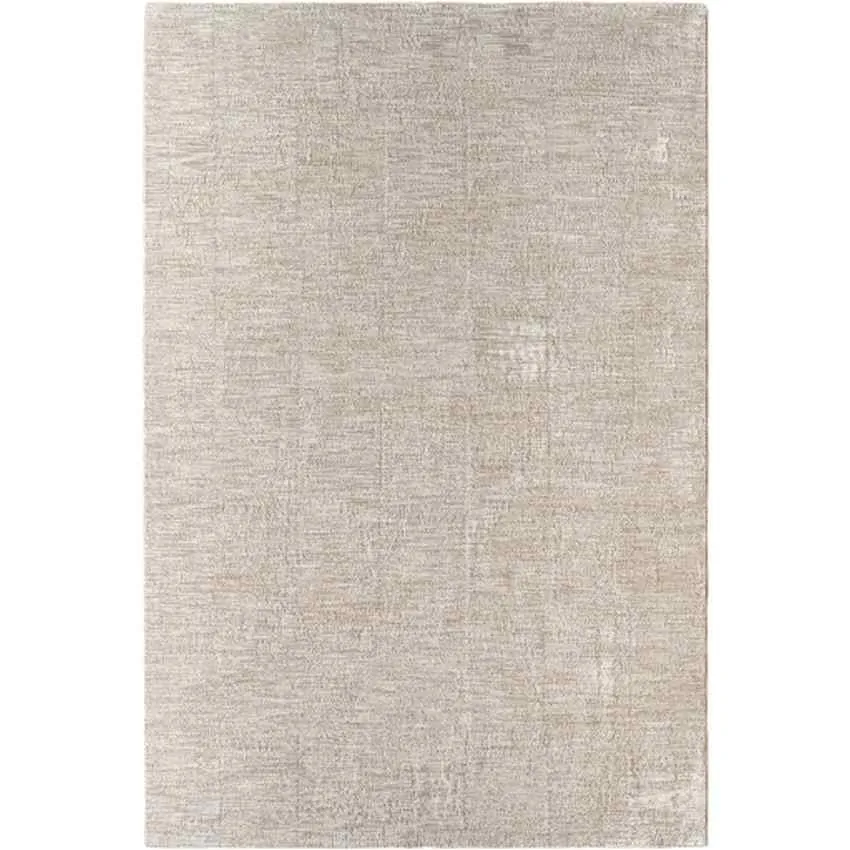 Sujey Traditional Light Gray Area Rug