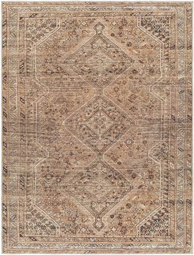 Tonganoxie Traditional Cider Washable Area Rug